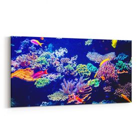 Olla 12119YD Akvaryum Balık Görseli Yatay Dar 60x30 cm Kanvas Tablo