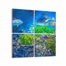 Olla 12120K4 Akvaryum Balık Görseli Kare 4 Parça 65x65 cm Kanvas Tablo