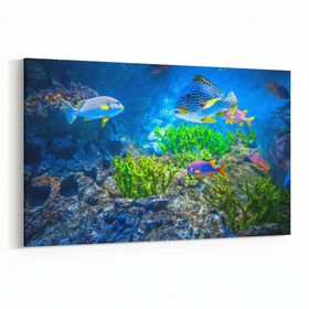 Olla 12120Y Akvaryum Balık Görseli Yatay 30x20 cm Kanvas Tablo