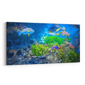 Olla 12120YD Akvaryum Balık Görseli Yatay Dar 60x30 cm Kanvas Tablo