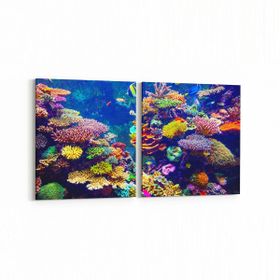 Olla 12121K2Y Akvaryum Balık Görseli Kare 2 Parça Yatay 65x30 cm Kanvas Tablo