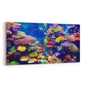 Olla 12121YD Akvaryum Balık Görseli Yatay Dar 60x30 cm Kanvas Tablo