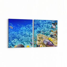 Olla 12124K2Y Akvaryum Balık Görseli Kare 2 Parça Yatay 65x30 cm Kanvas Tablo