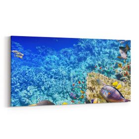 Olla 12124YD Akvaryum Balık Görseli Yatay Dar 60x30 cm Kanvas Tablo