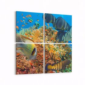 Olla 12125K4 Akvaryum Balık Görseli Kare 4 Parça 65x65 cm Kanvas Tablo