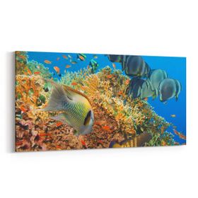 Olla 12125YD Akvaryum Balık Görseli Yatay Dar 60x30 cm Kanvas Tablo