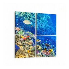 Olla 12126K4 Akvaryum Balık Görseli Kare 4 Parça 65x65 cm Kanvas Tablo