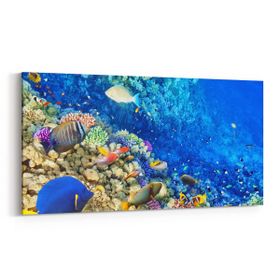 Olla 12126YD Akvaryum Balık Görseli Yatay Dar 60x30 cm Kanvas Tablo