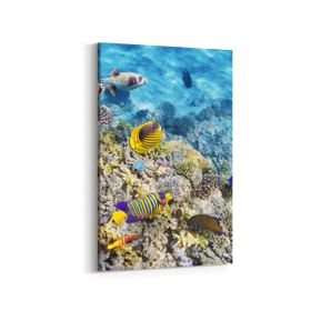 Olla 12127D Akvaryum Balık Görseli Dikey 20x30 cm Kanvas Tablo