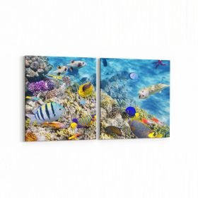 Olla 12127K2Y Akvaryum Balık Görseli Kare 2 Parça Yatay 65x30 cm Kanvas Tablo