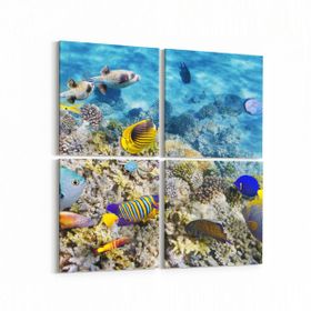 Olla 12127K4 Akvaryum Balık Görseli Kare 4 Parça 65x65 cm Kanvas Tablo