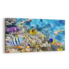 Olla 12127YD Akvaryum Balık Görseli Yatay Dar 60x30 cm Kanvas Tablo