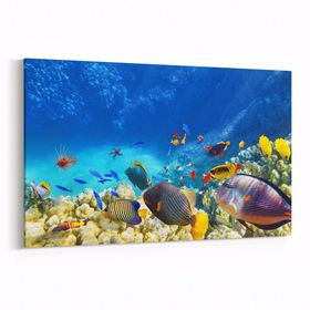 Olla 12128Y Akvaryum Balık Görseli Yatay 30x20 cm Kanvas Tablo