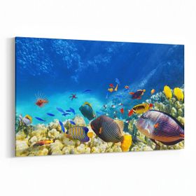 Olla 12128Y Akvaryum Balık Görseli Yatay 30x20 cm Kanvas Tablo