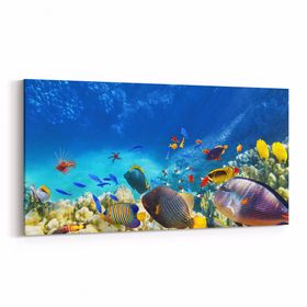 Olla 12128YD Akvaryum Balık Görseli Yatay Dar 60x30 cm Kanvas Tablo