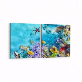 Olla 12129K2Y Akvaryum Balık Görseli Kare 2 Parça Yatay 65x30 cm Kanvas Tablo