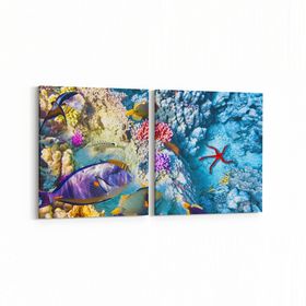 Olla 12131K2Y Akvaryum Balık Görseli Kare 2 Parça Yatay 65x30 cm Kanvas Tablo