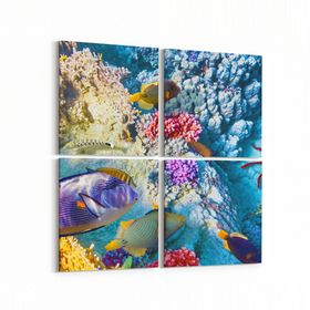 Olla 12131K4 Akvaryum Balık Görseli Kare 4 Parça 65x65 cm Kanvas Tablo