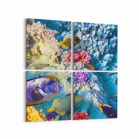 Olla 12131K4 Akvaryum Balık Görseli Kare 4 Parça 65x65 cm Kanvas Tablo
