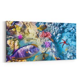 Olla 12131YD Akvaryum Balık Görseli Yatay Dar 60x30 cm Kanvas Tablo