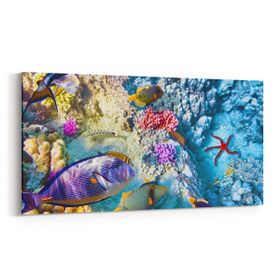 Olla 12131YD Akvaryum Balık Görseli Yatay Dar 60x30 cm Kanvas Tablo