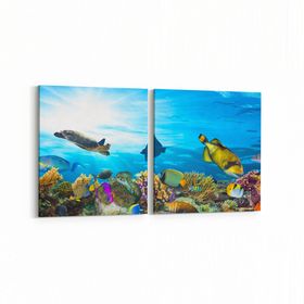 Olla 12132K2Y Akvaryum Balık Görseli Kare 2 Parça Yatay 65x30 cm Kanvas Tablo