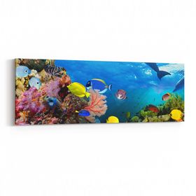 Olla 12136YI Akvaryum Balık Görseli Yatay İnce 90x30 cm Kanvas Tablo