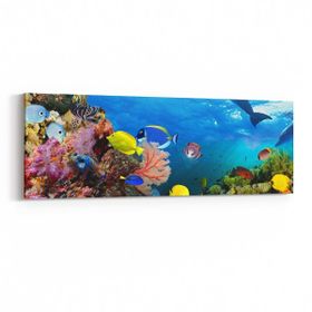 Olla 12136YI Akvaryum Balık Görseli Yatay İnce 90x30 cm Kanvas Tablo