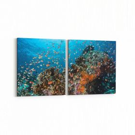 Olla 12137K2Y Akvaryum Balık Görseli Kare 2 Parça Yatay 65x30 cm Kanvas Tablo