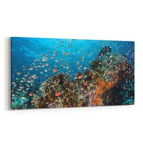 Olla 12137YD Akvaryum Balık Görseli Yatay Dar 60x30 cm Kanvas Tablo
