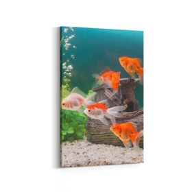 Olla 12138D Akvaryum Balık Görseli Dikey 20x30 cm Kanvas Tablo