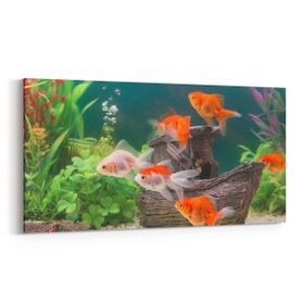 Olla 12138YD Akvaryum Balık Görseli Yatay Dar 60x30 cm Kanvas Tablo