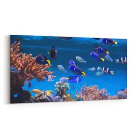 Olla 12139YD Akvaryum Balık Görseli Yatay Dar 60x30 cm Kanvas Tablo