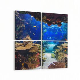 Olla 12140K4 Akvaryum Balık Görseli Kare 4 Parça 65x65 cm Kanvas Tablo