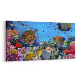 Olla 12141YD Akvaryum Balık Görseli Yatay Dar 60x30 cm Kanvas Tablo