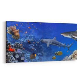 Olla 12143YD Akvaryum Balık Görseli Yatay Dar 60x30 cm Kanvas Tablo