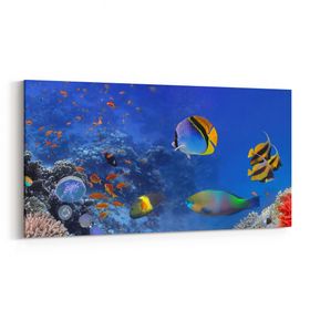Olla 12144YD Akvaryum Balık Görseli Yatay Dar 60x30 cm Kanvas Tablo