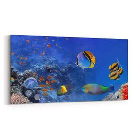 Olla 12144YD Akvaryum Balık Görseli Yatay Dar 60x30 cm Kanvas Tablo