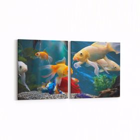 Olla 12145K2Y Akvaryum Balık Görseli Kare 2 Parça Yatay 65x30 cm Kanvas Tablo
