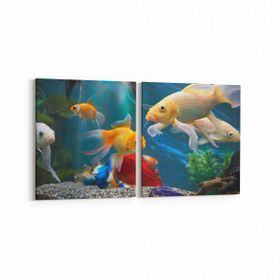 Olla 12145K2Y Akvaryum Balık Görseli Kare 2 Parça Yatay 65x30 cm Kanvas Tablo