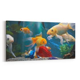 Olla 12145YD Akvaryum Balık Görseli Yatay Dar 60x30 cm Kanvas Tablo