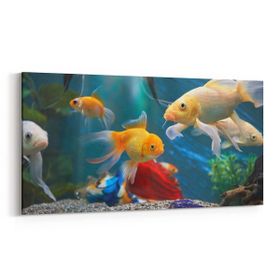 Olla 12145YD Akvaryum Balık Görseli Yatay Dar 60x30 cm Kanvas Tablo