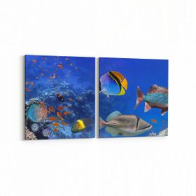 Olla 12147K2Y Akvaryum Balık Görseli Kare 2 Parça Yatay 65x30 cm Kanvas Tablo