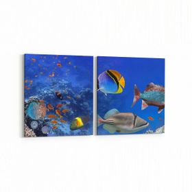 Olla 12147K2Y Akvaryum Balık Görseli Kare 2 Parça Yatay 65x30 cm Kanvas Tablo