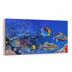Olla 12147YD Akvaryum Balık Görseli Yatay Dar 60x30 cm Kanvas Tablo