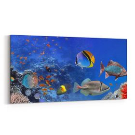 Olla 12147YD Akvaryum Balık Görseli Yatay Dar 60x30 cm Kanvas Tablo