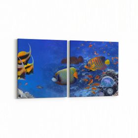 Olla 12149K2Y Akvaryum Balık Görseli Kare 2 Parça Yatay 65x30 cm Kanvas Tablo