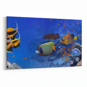 Olla 12149Y Akvaryum Balık Görseli Yatay 30x20 cm Kanvas Tablo