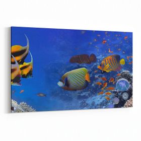 Olla 12149Y Akvaryum Balık Görseli Yatay 30x20 cm Kanvas Tablo