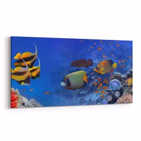 Olla 12149YD Akvaryum Balık Görseli Yatay Dar 60x30 cm Kanvas Tablo